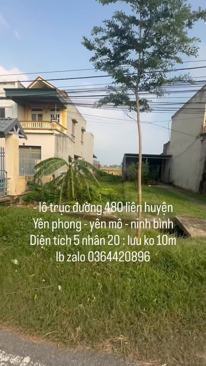 Đất nền Yên Phong, Yên Mô, Ninh Bình 100m² - Giá thương lượng hấp dẫn!