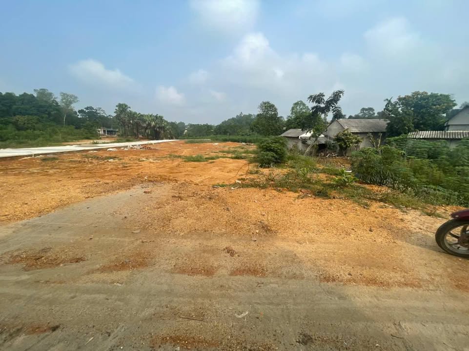 Đất thổ cư Phong Châu, Phú Thọ 100m² giá 7xx triệu - Đầu tư sinh lời ngay!