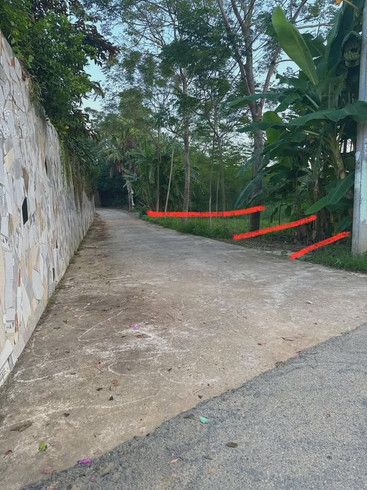 Đất nền Kim Đức, Việt Trì 50m² giá 1.2 tỷ - Vị trí đẹp, phong thủy tốt!