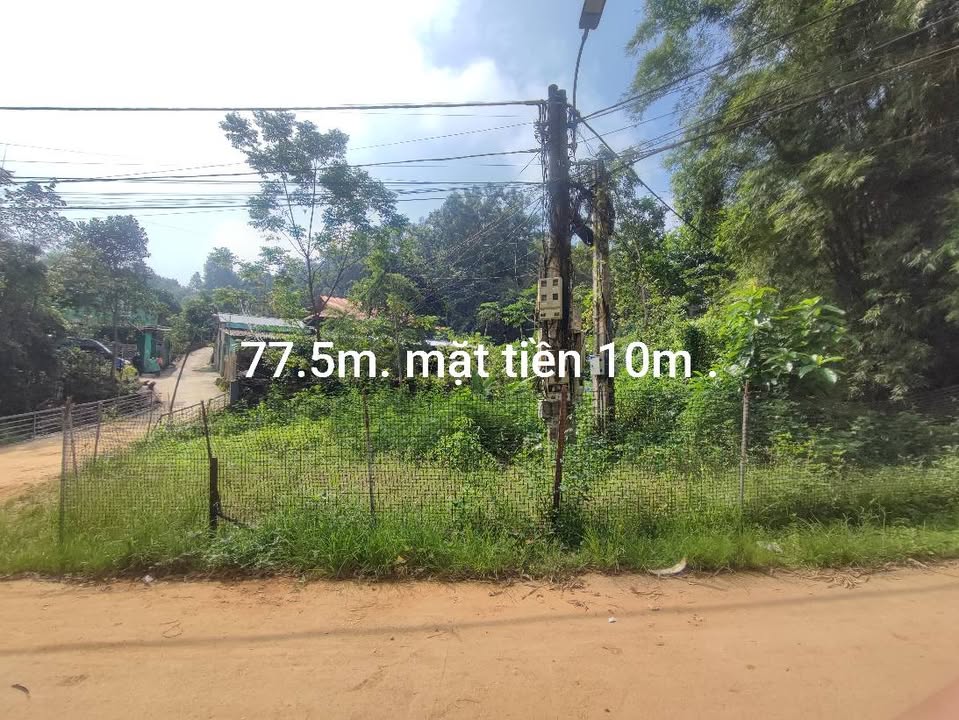 Đất ở Tổ 12 Phường Tân Giang 77,5m² giá 550 triệu - Có thể thương lượng!