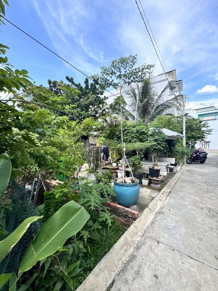 Đất nền Cát Lái 171m² giá 16.25 tỷ - Ô tô vào tận nhà, vị trí đẹp!