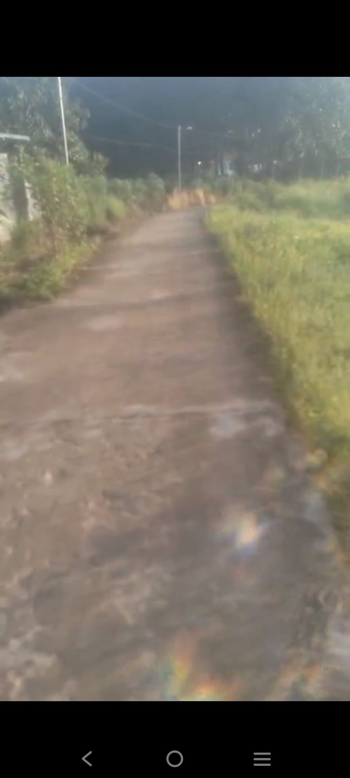 Đất nền mặt tiền đường bê tông Đồng Phú 133m² giá 320 triệu - Cơ hội đầu tư hiếm có!