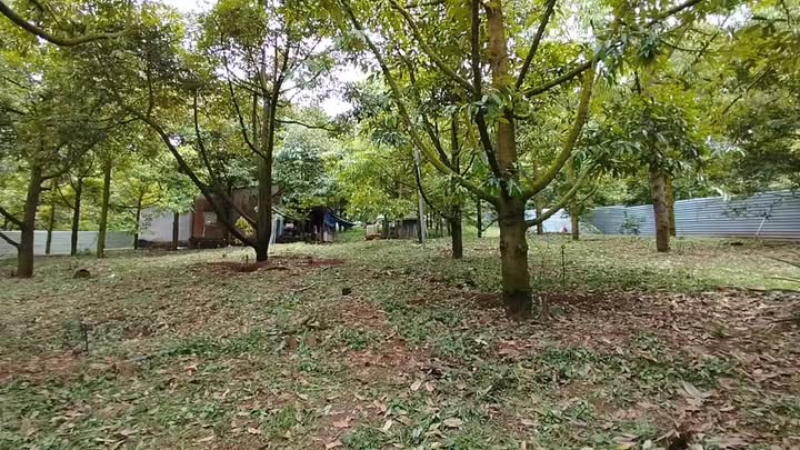 Đất vườn sầu riêng Cẩm Mỹ 4,566m² giá thỏa thuận - View suối tuyệt đẹp!