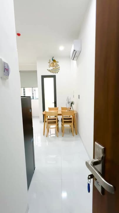 Căn hộ cho thuê Hải Châu 50m² giá 5 triệu - Đầy đủ nội thất, an ninh tốt!