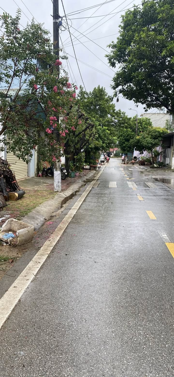 Đất nền chính chủ tại Mường Thanh, Điện Biên - Giá từ 300 triệu đến 1.250 triệu