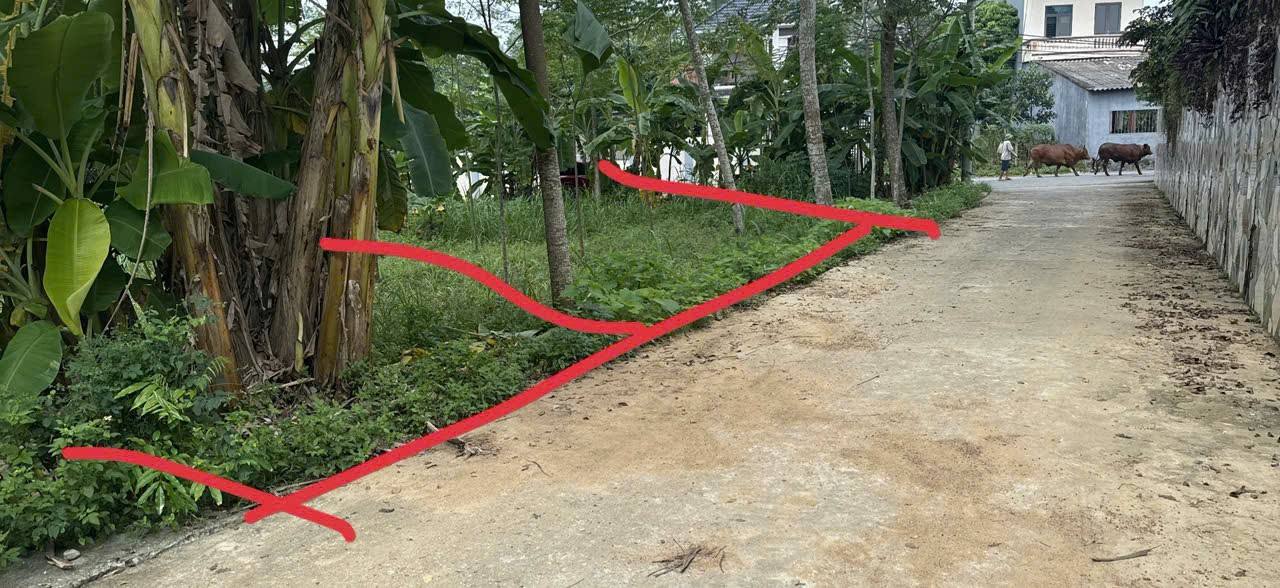 Đất nền Kim Đức, Việt Trì 50m² giá 1.2 tỷ - Sổ đỏ chính chủ, đầu tư sinh lời!