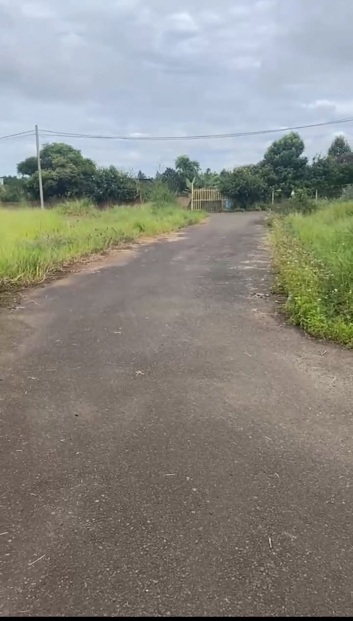 Đất nền hẻm 406 Trần Hưng Đạo, Lộc Sơn, Bảo Lộc 145m² - Giá chỉ 1.25 tỷ!