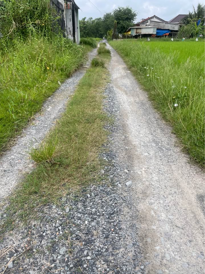 Đất nền Hòa Khánh Đông, Đức Hòa 130m² giá 800 triệu - Đường nhựa rộng, vị trí đẹp!