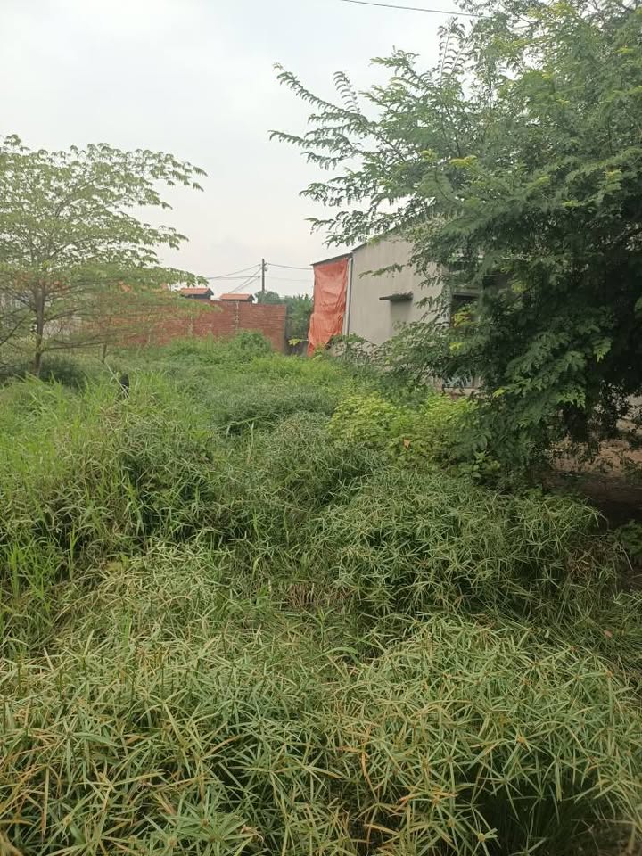 Đất nền 200m² tại Tân Vĩnh Lộc, Bình Chánh - Giá 1.3 tỷ - Đầu tư lý tưởng!