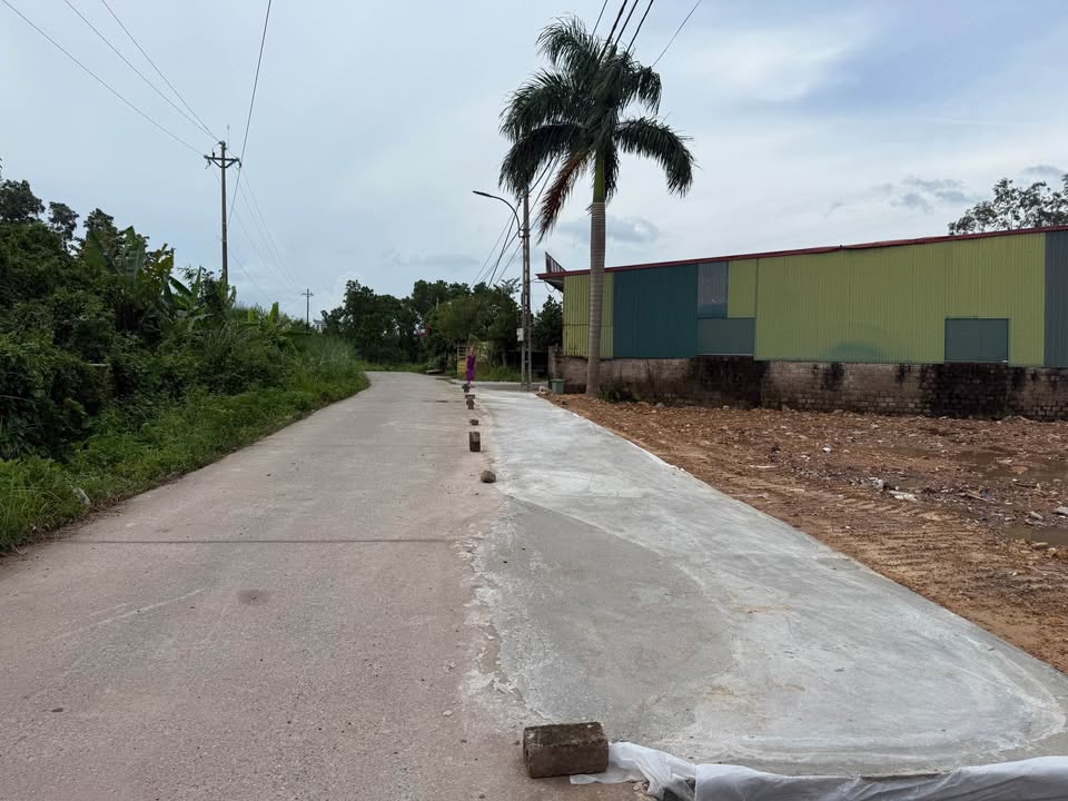 Đất nền Hải Yên Móng Cái 90m² giá chỉ từ 100 triệu - Cơ hội đầu tư tuyệt vời!