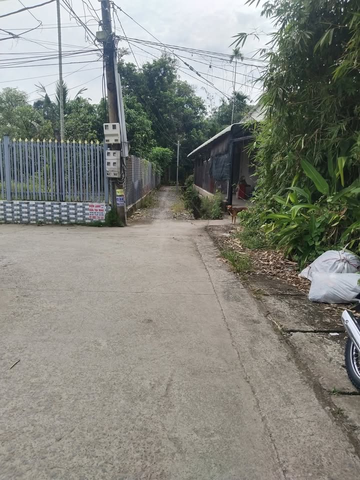 Đất nền Phú Hội Nhơn Trạch 300m² giá 2.1 tỷ - Đầu tư sinh lời cao!