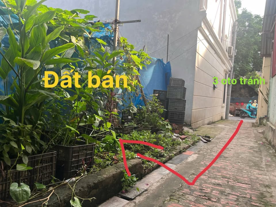 Đất nền Cự Khê, Thanh Oai 50m² - Khu vực giao thương sầm uất!