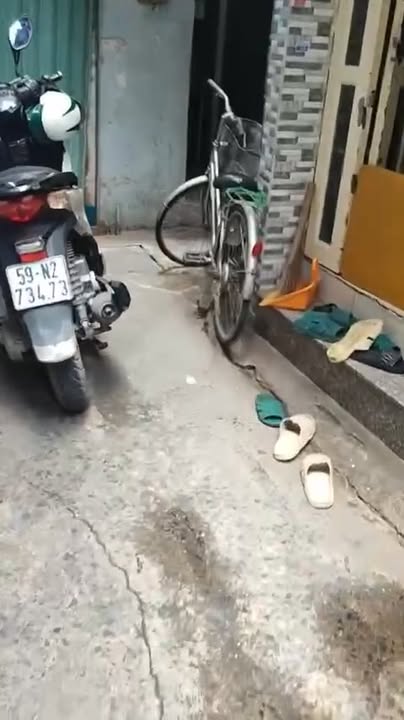 Nhà hẻm 3m đường Cách Mạng Tháng 8, Q10, 26m² - Sổ hồng riêng, công chứng nhanh!