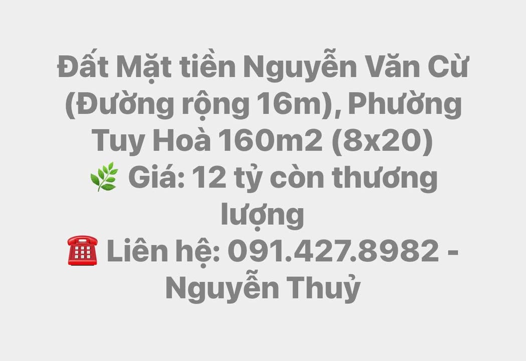 Đất mặt tiền Nguyễn Văn Cừ, Tuy Hòa 160m² giá 12 tỷ - Cơ hội đầu tư hấp dẫn!