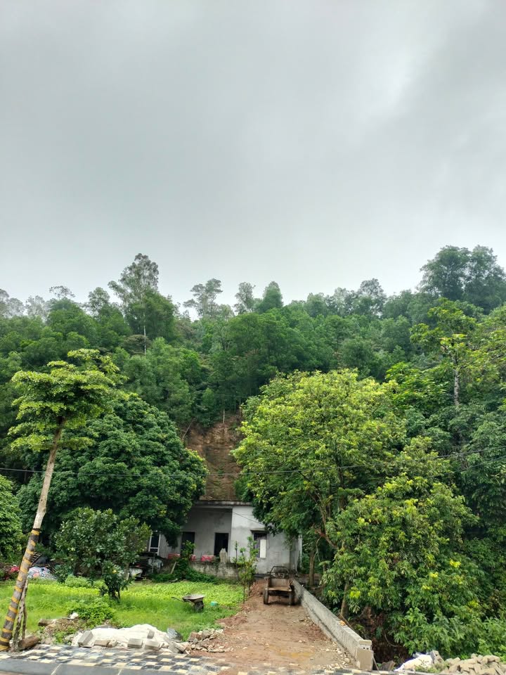 Đất nền dự án The Heritage Tân Thanh 204m² giá thỏa thuận - View núi tuyệt đẹp!