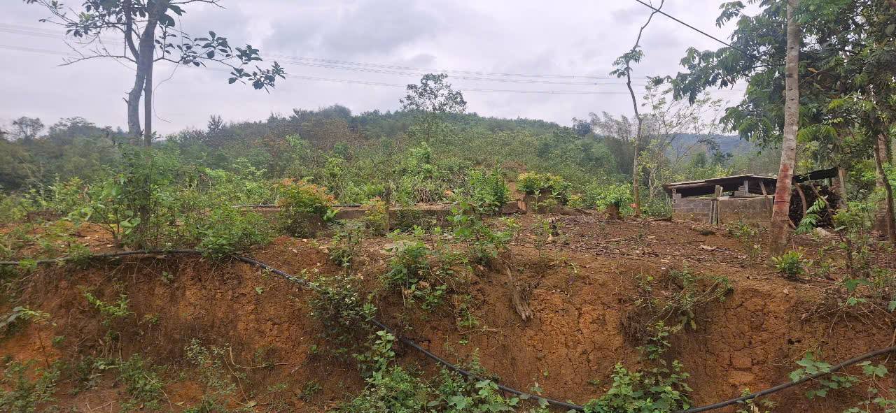 Đất nền Suối Hoa Tân Lạc 400m² giá 480 triệu - Vị trí tiềm năng cực đẹp!