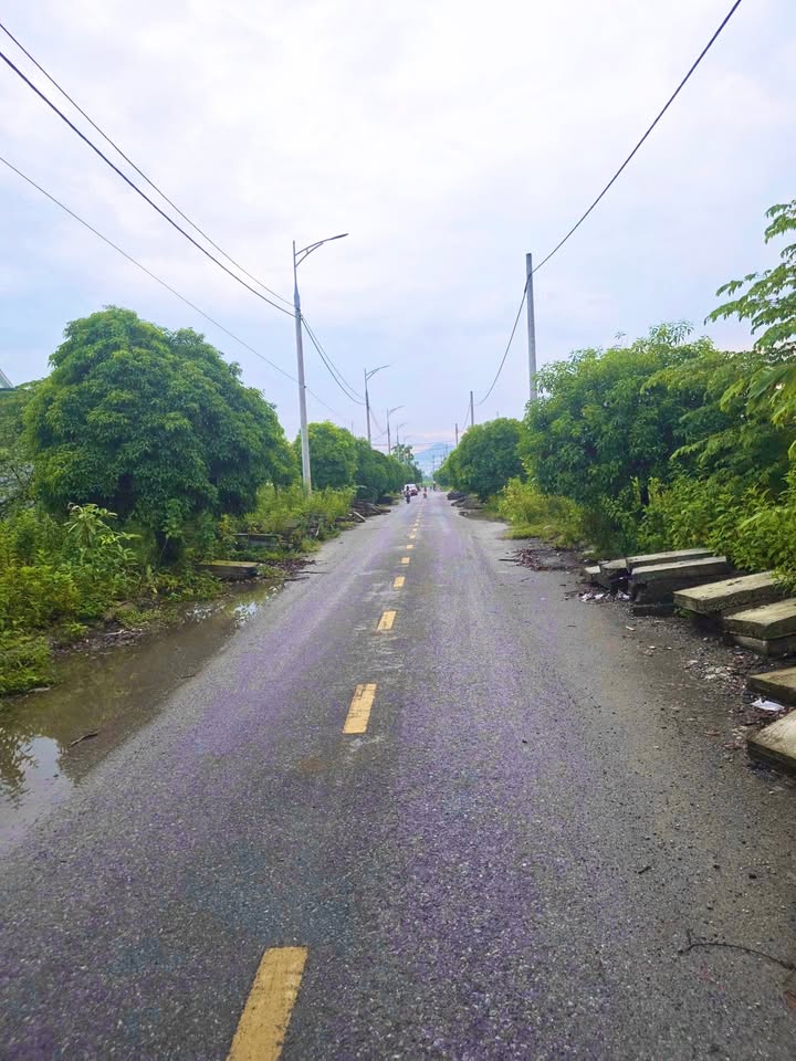 Đất nền đẹp Khu đô thị Thanh Hà 100m² giá 1.8 tỷ - Đầu tư sinh lời ngay!