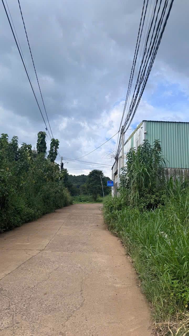 Đất hẻm 30/4, Khánh Xuân, Buôn Ma Thuột 120m² giá 1.25 tỷ - Đầu tư sinh lời bền vững!