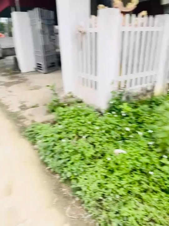 Đất nền Đồng Thịnh Yên Lập 120m² giá chỉ 199 triệu - Sổ đỏ chính chủ, công chứng ngay!