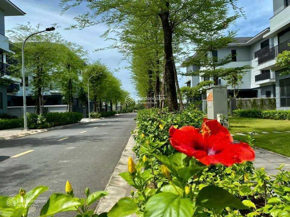 Quỹ căn biệt thự và liền kề Mailand Hanoi City 210m² giá 42 tỷ - Chủ nhà thiện chí bán gấp!