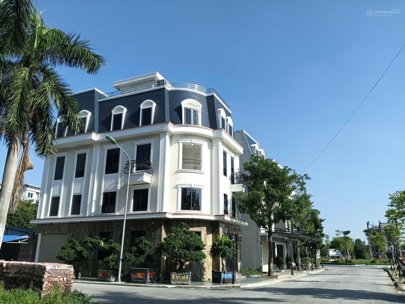 Bán đất biệt thự liền kề Sơn Nam Plaza Hưng Yên, giá chỉ từ 40 triệu/m² - Tiềm năng đầu tư cao!