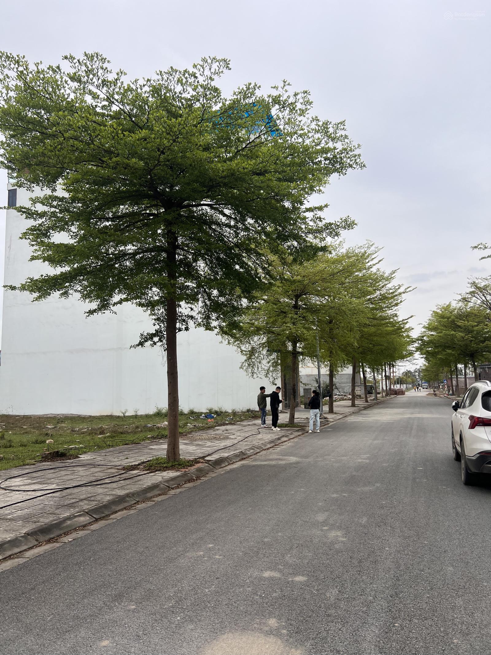 Đất Vườn Sen Từ Sơn 116.8m² giá 5.6 tỷ - Đầu tư sinh lời cao!