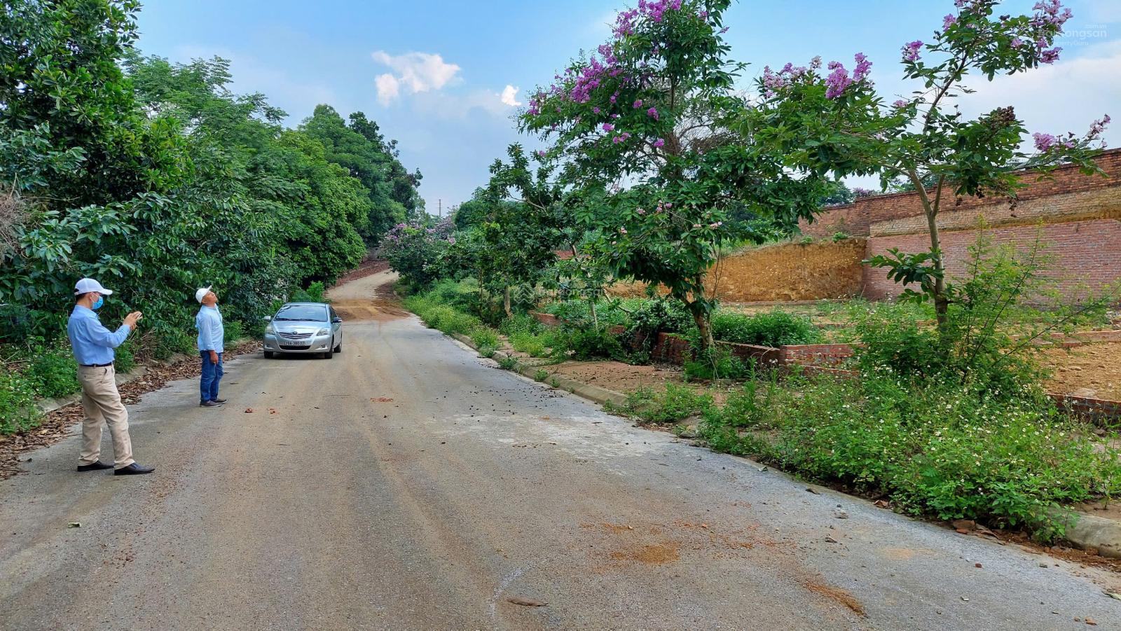 Đất nền tái định cư Vai Réo, Phú Cát, Quốc Oai 309.8m² - Mặt tiền rộng 20m, kinh doanh thuận lợi!