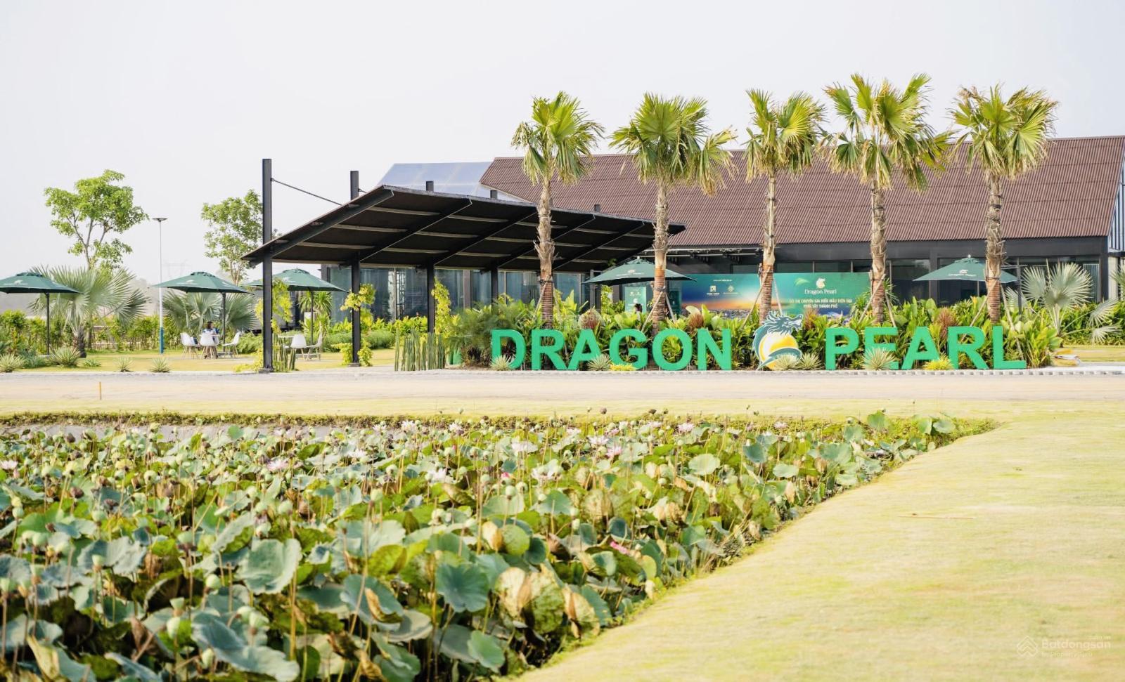 Đất nền dự án Dragon Pearl, Đức Hoà Đông, Long An 90m² chỉ 1.663 tỷ - Cơ hội đầu tư tốt!