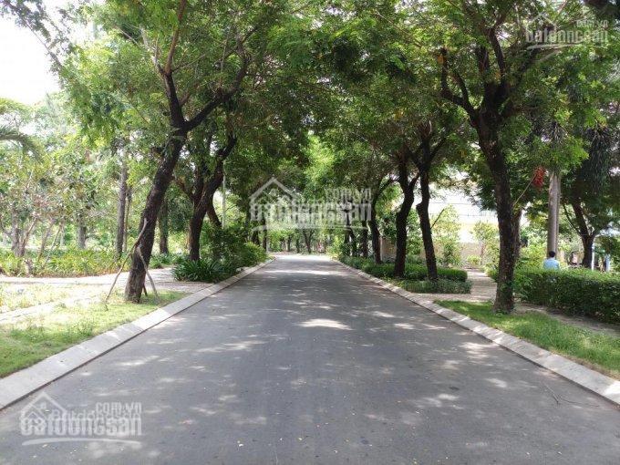 Bán gấp lô đất góc 265m² tại Tam Đa BCR giá 55 triệu/m² - Thiết kế tự do thoải mái!