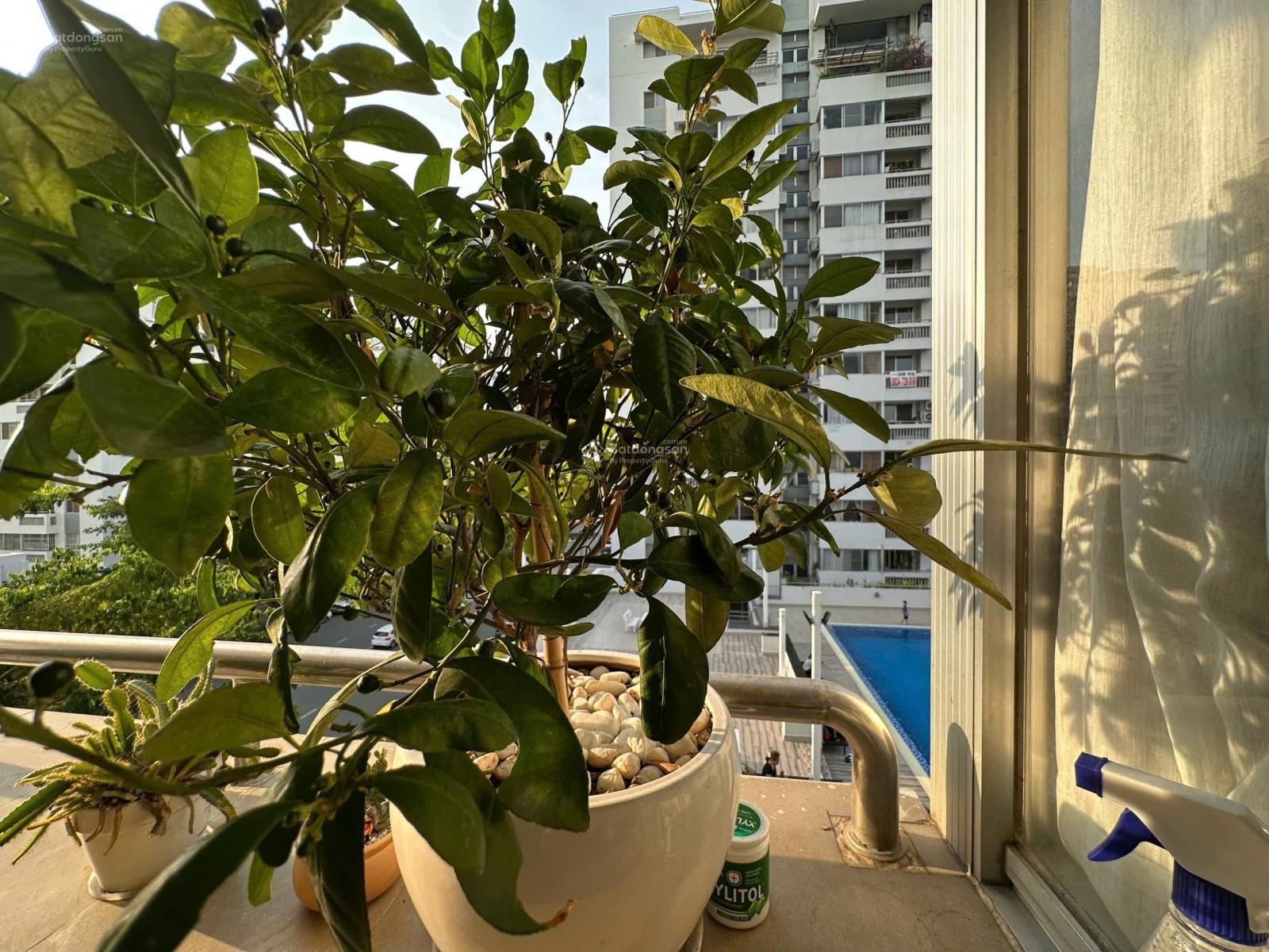 Căn hộ Mỹ Khánh 4 - Phú Mỹ Hưng 113m² giá 8.4 tỷ - Sẵn sàng vào ở!