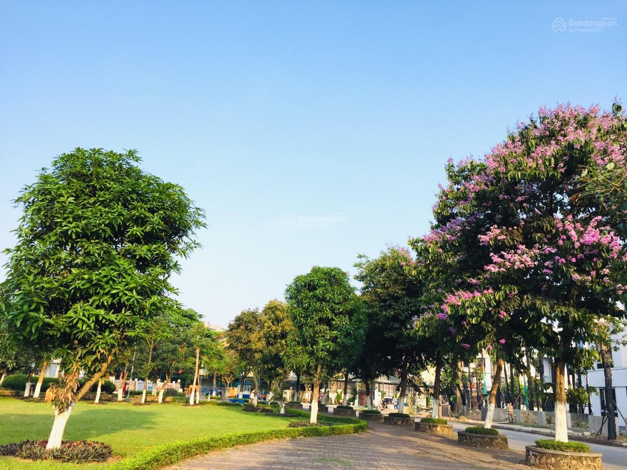 Biệt thự song lập 420m² Khu đô thị Đặng Xá, Gia Lâm giá 47.2 tỷ - Hướng Đông Nam mát mẻ!