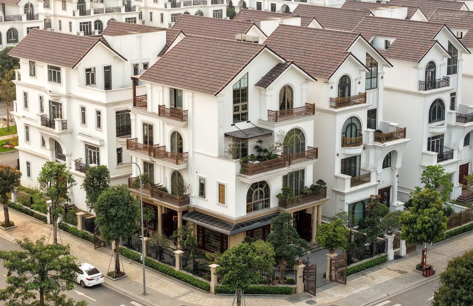 Đất biệt thự Vườn Hồng, Đồng Kỵ 390m² chỉ 15,6 tỷ - Đầu tư sinh lời ngay!