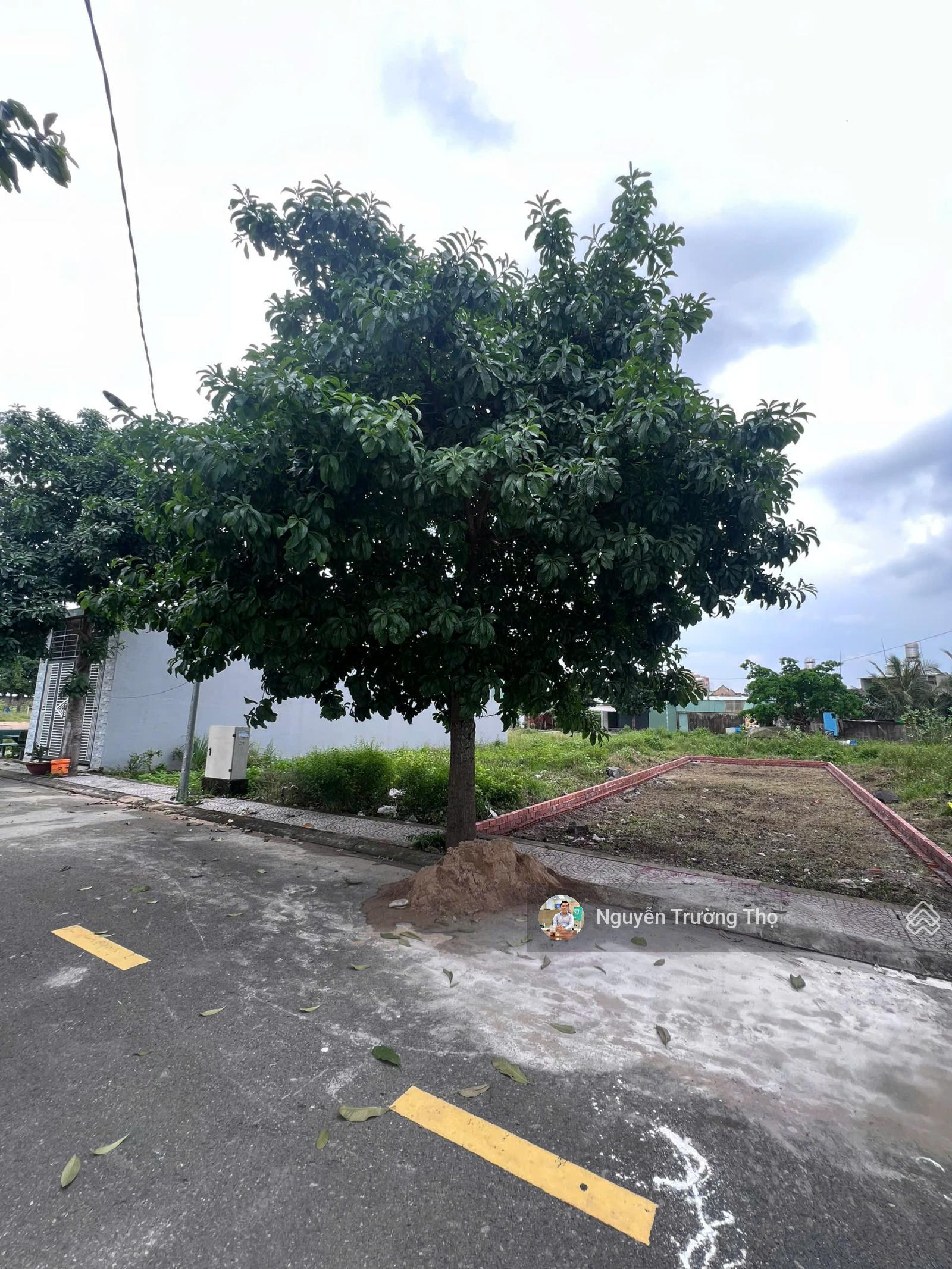 Đất nền An Viễn 80m² giá 1.38 tỷ - Đầu tư sinh lời ngay hôm nay!