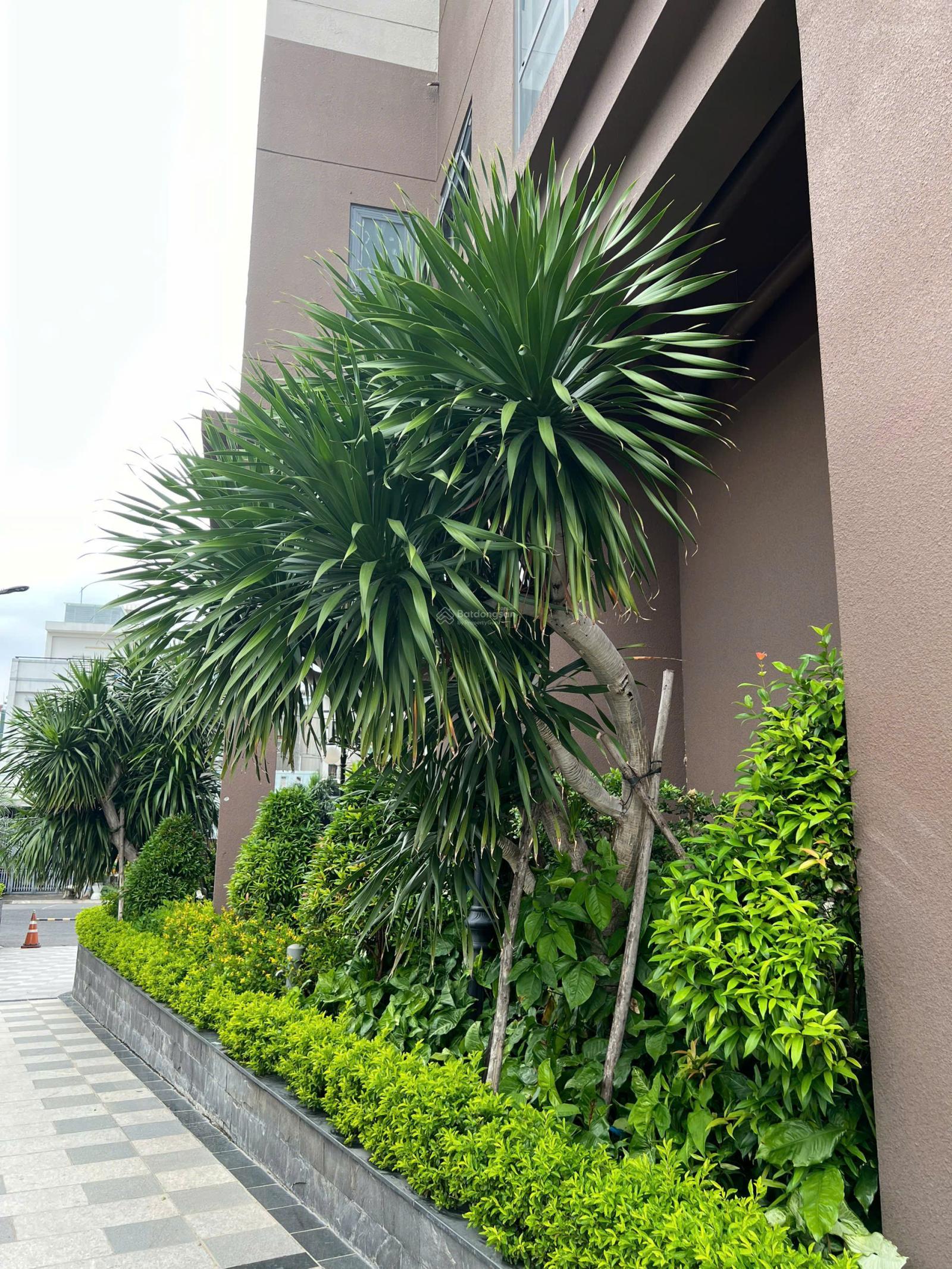 Căn hộ Bcons Bee Dĩ An 39m² giá 1,690 tỷ - Sổ hồng trao tay ngay!