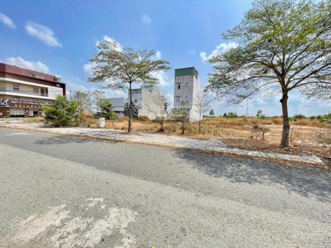 Đất thổ cư 80m² tại Tân Đô, Đức Hòa - Giá chỉ 590 triệu, đầu tư sinh lời ngay!