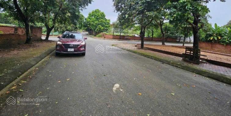 Đất nền tái định cư Vai Réo, Quốc Oai 309.8m² giá 13.01 tỷ - Mặt tiền rộng 20m, đầu tư sinh lời!