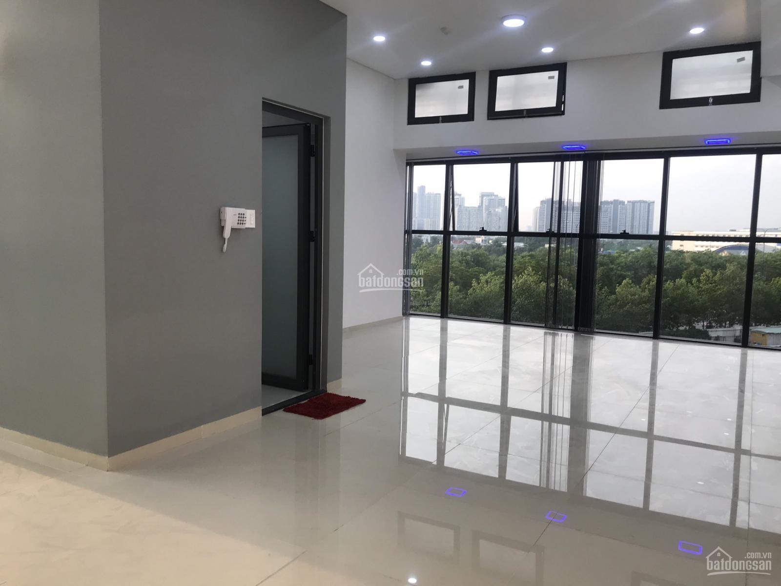 Văn phòng cho thuê tại The Sun Avenue, 40m² giá chỉ 8 triệu - Tiện ích đầy đủ, hỗ trợ 24/24!