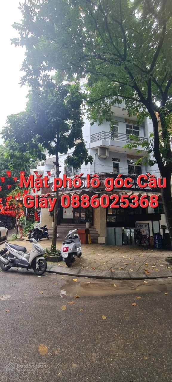 Cho thuê nhà nguyên căn mặt phố Cầu Giấy 240m² giá 30 triệu - Vị trí đắc địa lô góc 2 mặt tiền!
