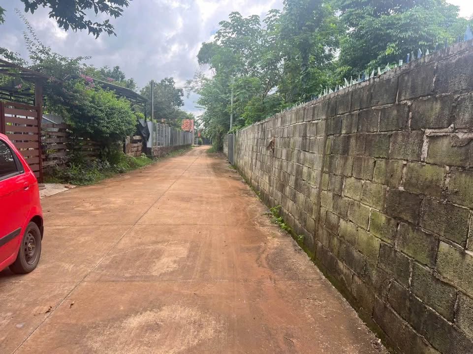 Đất sào Buôn Cô Thôn, Tân Lợi, Đắk Lắk 990m² giá 6 tỷ - Pháp lý rõ ràng, sổ đỏ