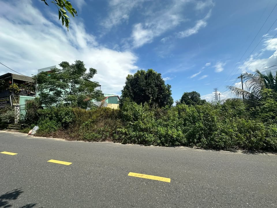 Đất nền Cẩm Hà, Hội An 1350m² - Cơ hội đầu tư hiếm có!