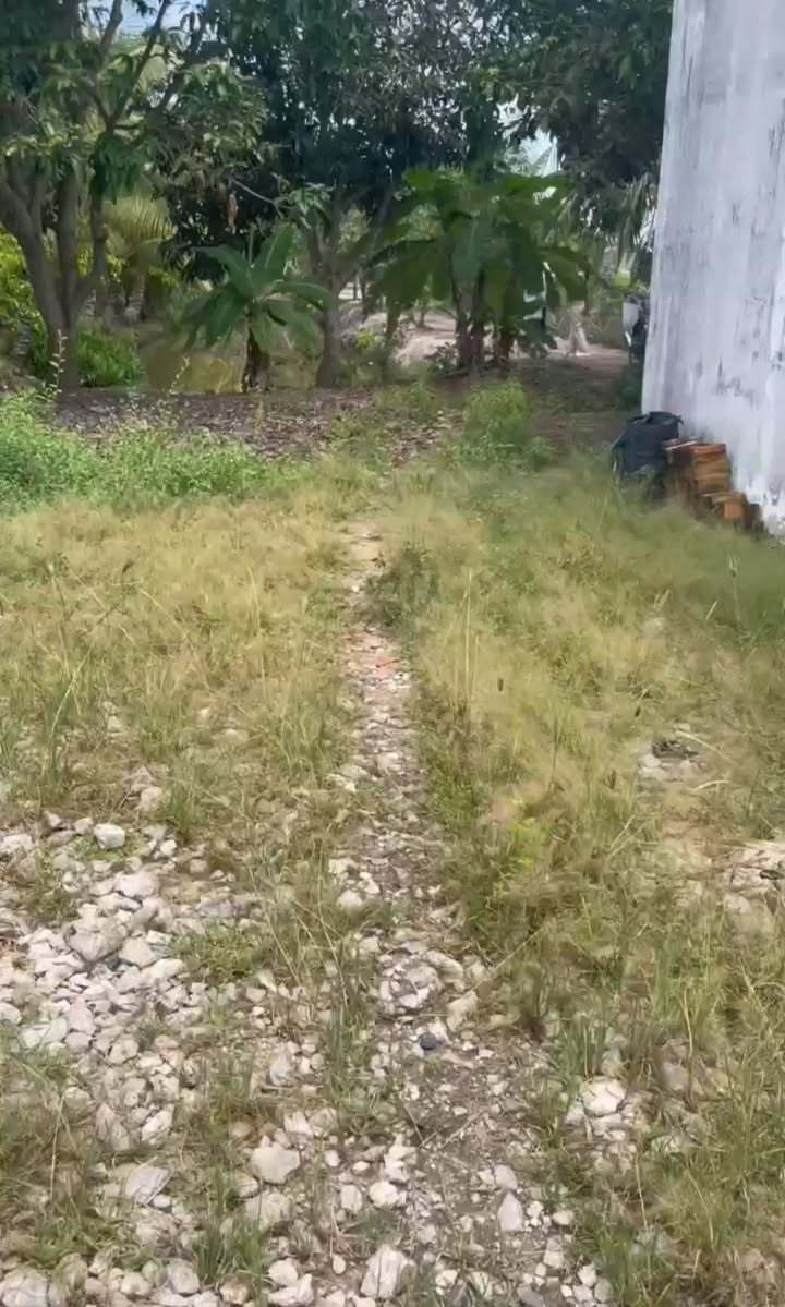 Farm An Phú 250m² giá 8 tỷ - Đầu tư lâu dài với nhiều tiềm năng!