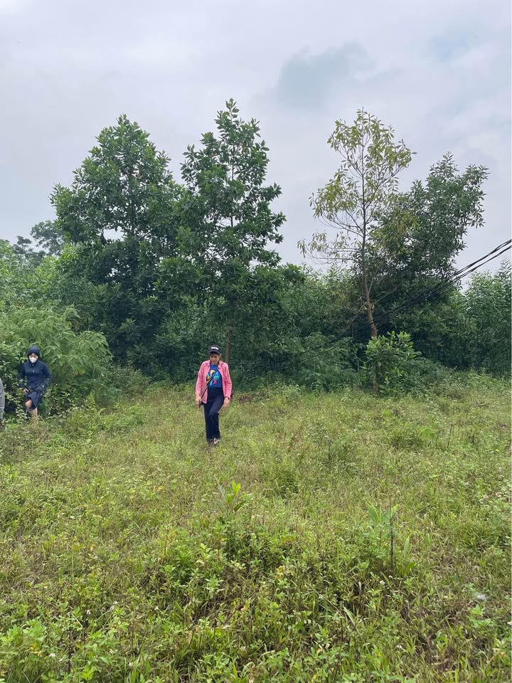 Đất thổ cư Phúc Thuận Phổ Yên 99m² chỉ 299 triệu - Đầu tư sinh lời ngay!