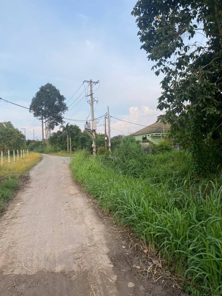 Đất Tân Thạnh Đông 459m² giá chỉ 3 tỷ - Khu dân cư sầm uất!