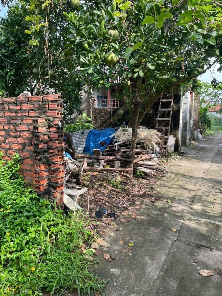 Đất Đồng Mai Hà Đông 52m² giá 3.1 tỷ - Cơ hội đầu tư tuyệt vời!