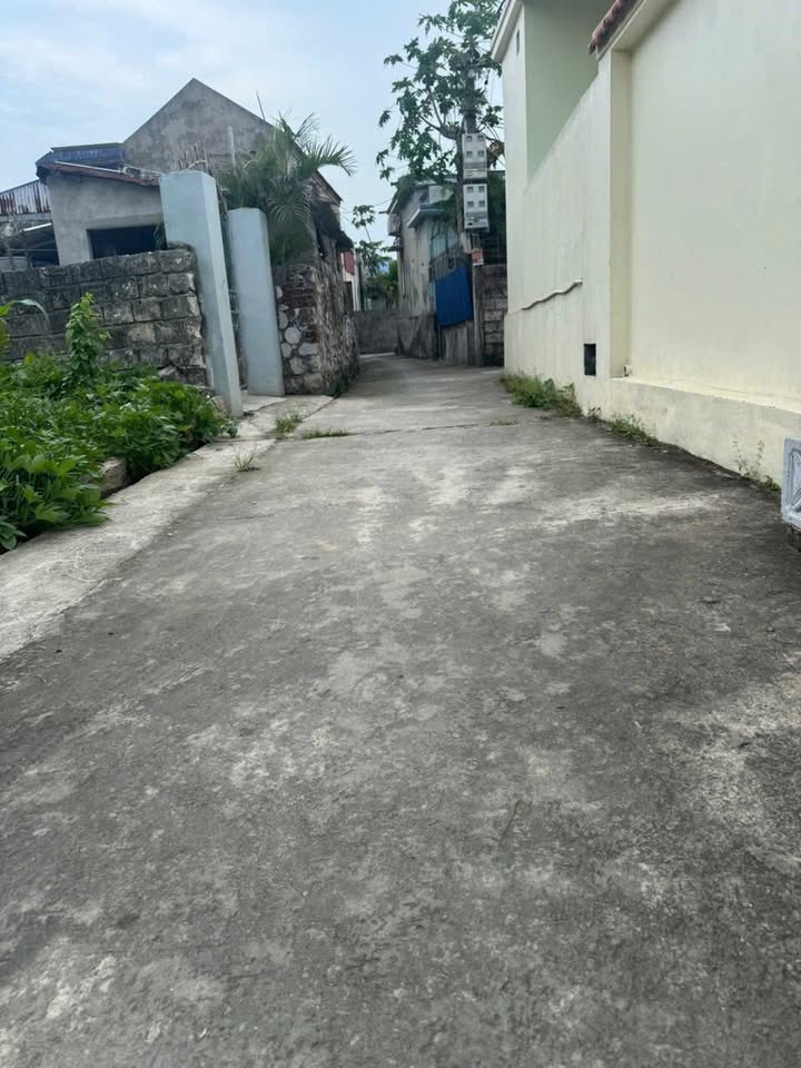 Đất nền Minh Tân 60m² giá 600 triệu - Cơ hội đầu tư tuyệt vời!