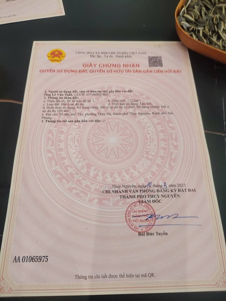 Đất nền Thủy Nguyên 63m² - Cơ hội đầu tư hấp dẫn gần công viên!