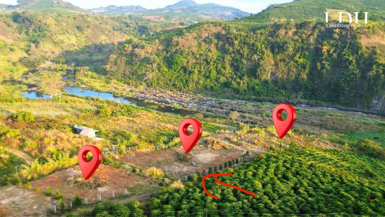 Đất nền Tân Hội, Đức Trọng 1.262m² giá chỉ 650 triệu - Sổ hồng chính chủ!