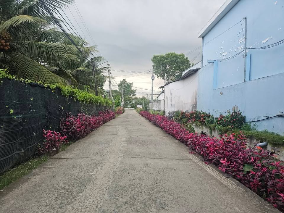 Đất nền 263,8 m² tại Khu phố Mỹ Lợi, Mỹ Phong - Giá chỉ 2,5 tỷ, thương lượng chính chủ!