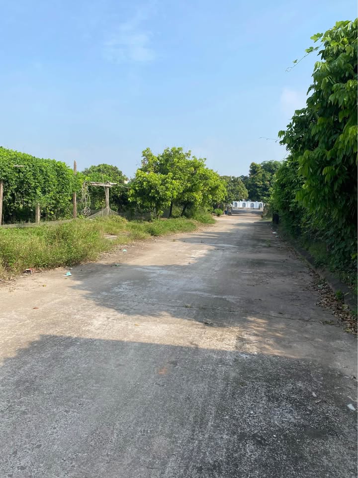 Đất nền Phú Phúc, Lý Nhân 144m² giá 1.1 tỷ - Cơ hội đầu tư tốt!