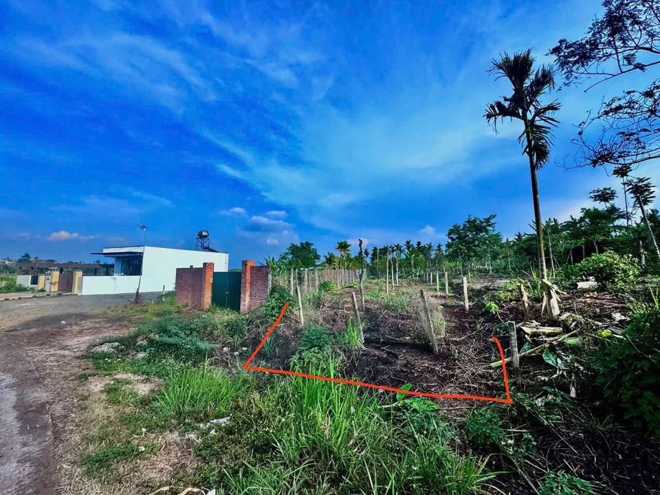 Đất nền QL 29, Ea Drông, Buôn Hồ, 310m² giá 1.699 tỷ - Đầu tư sinh lời ngay!